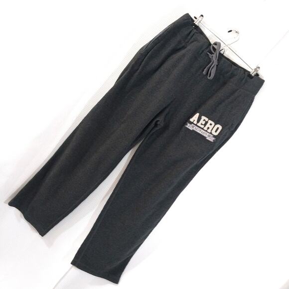AEROPOSTALE! PLUSH GRAY OVERSIZED LIGO FRONT WIDE LEG SWEATPANTS, ACTIVE! SZ L - Picture 1 of 10